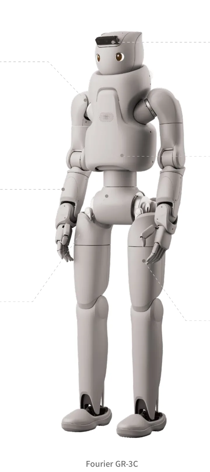 Fourier Intelligence GR-3C